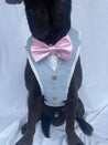 Light Blue Linen Dog Suit